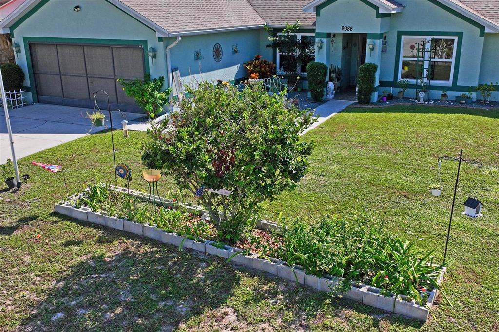 9086 Manchester Street Spring Hill, FL 34606 - Photo 45 of 50 a view of an house with backyard space and garden