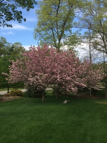 10 Anna Way Norton, MA 02766 - Photo 38 of 40