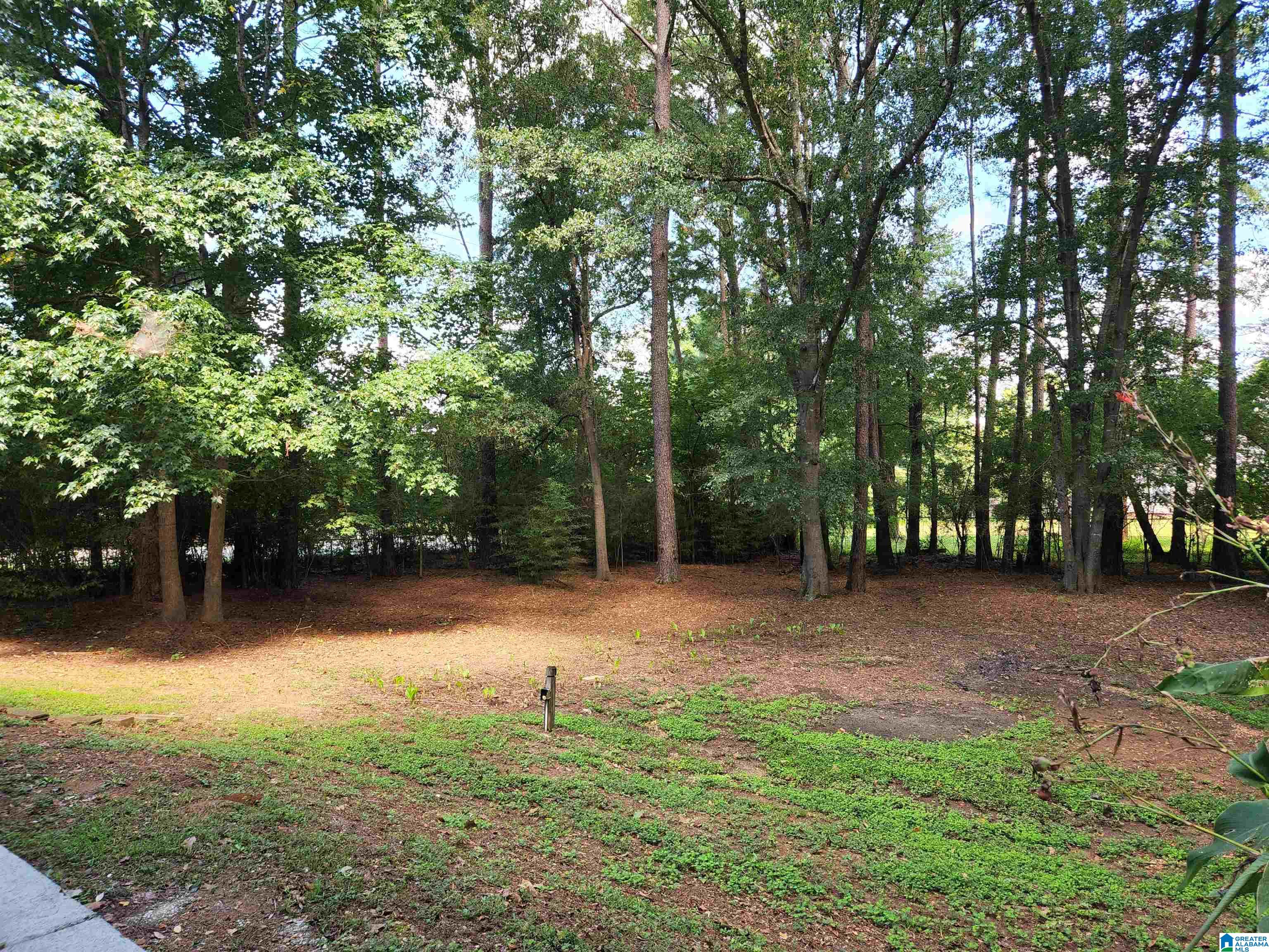 1 Monte Verde Lane Montevallo, AL 35115 - Photo 30 of 33