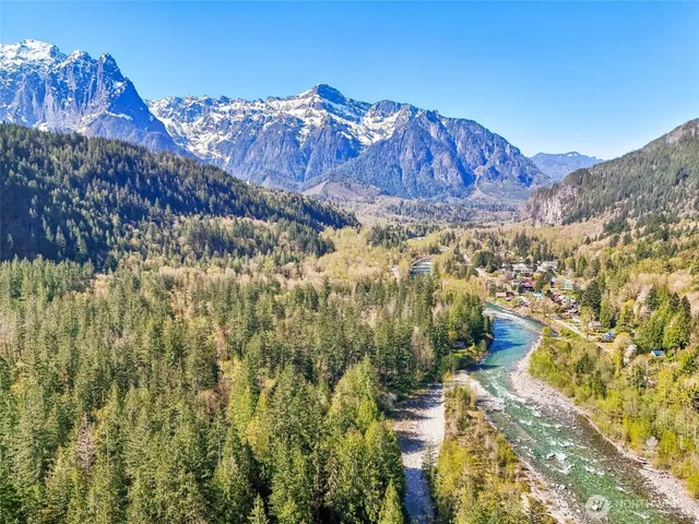 a view of a lot of trees and mountains
