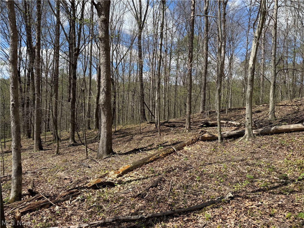 Plainview Road Woodsfield, OH 43793 - Photo 8 of 20