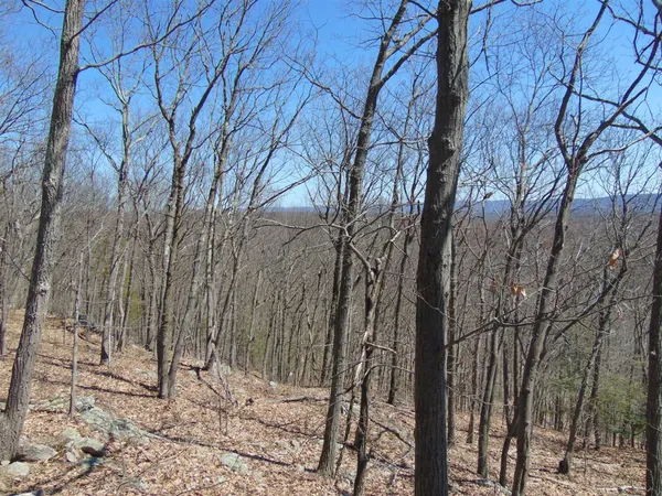 a view of house with yard and trees in the background