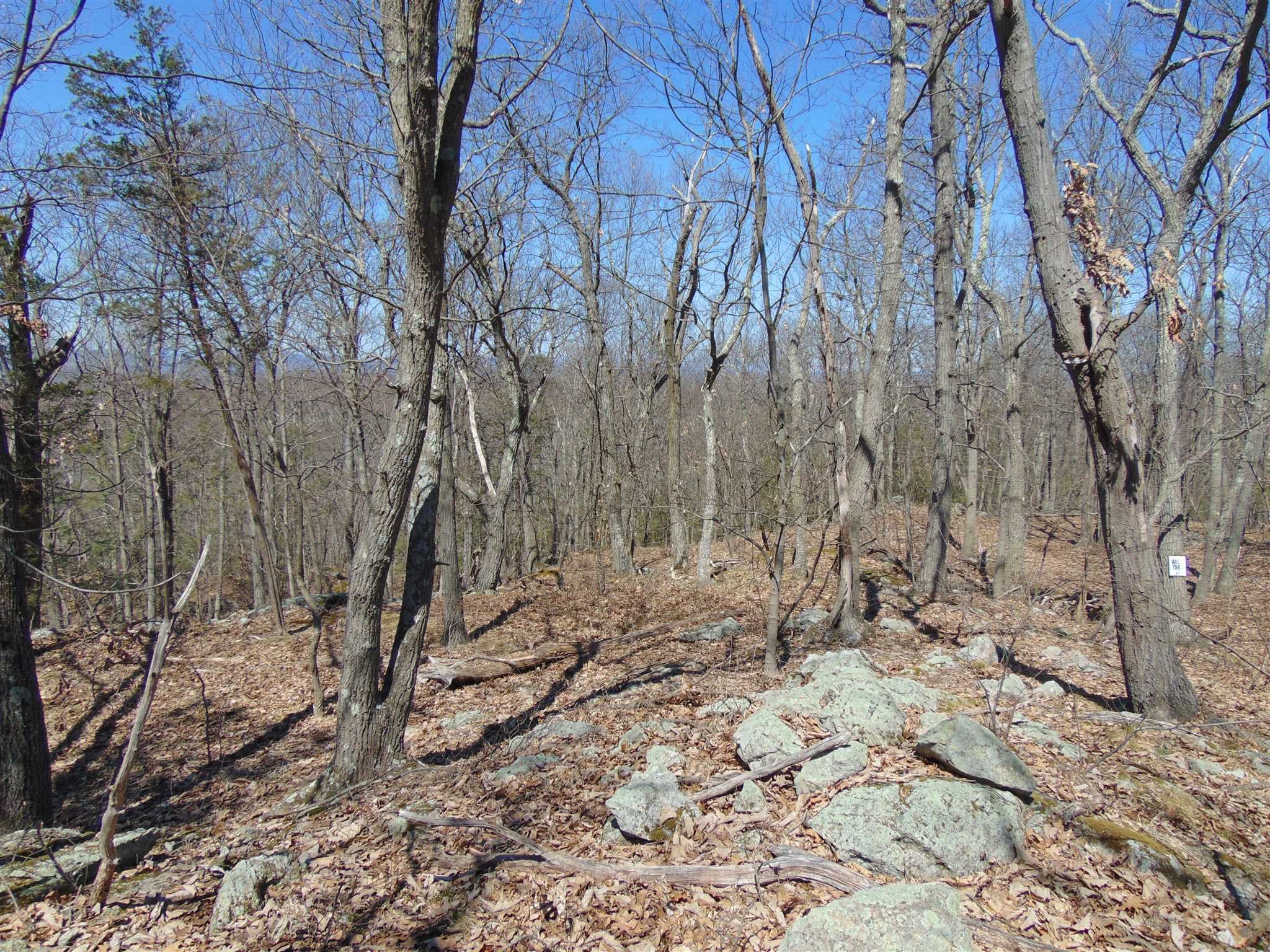 382 Cedar Hill Road Wappinger, NY 12524 - Photo 12 of 20 a view of house with yard and trees in the background