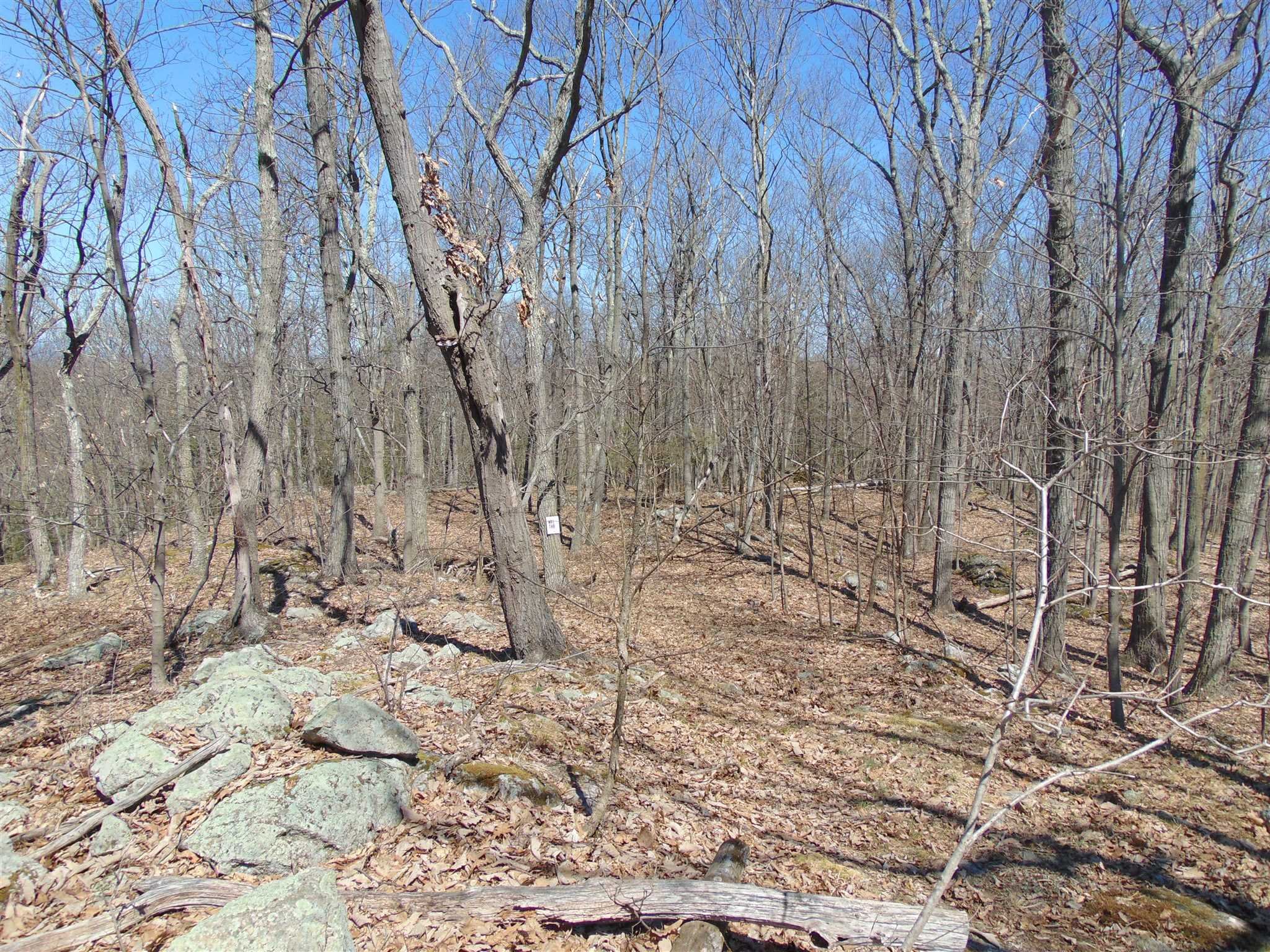 382 Cedar Hill Road Wappinger, NY 12524 - Photo 13 of 20 a backyard of a house with lots of green space