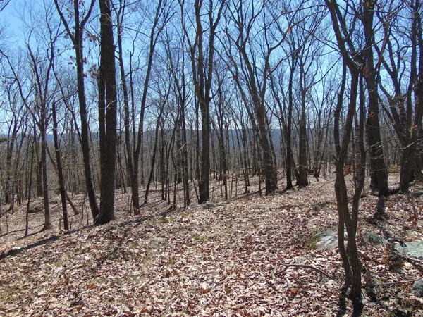 a view of outdoor space