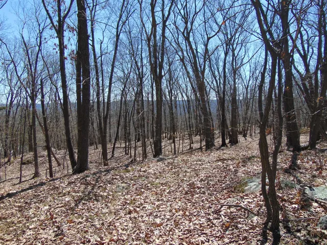 a view of outdoor space