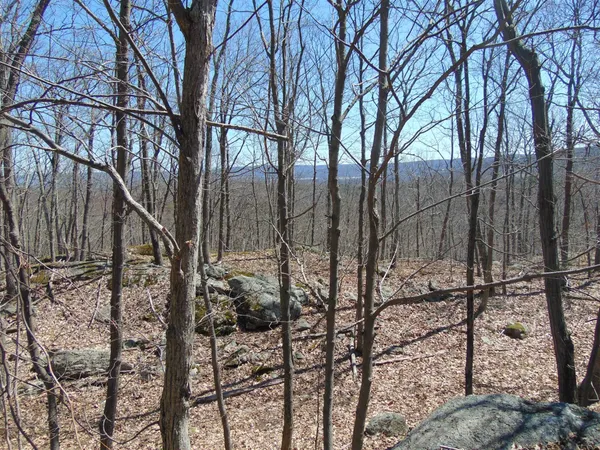 a backyard of a house with lots of trees