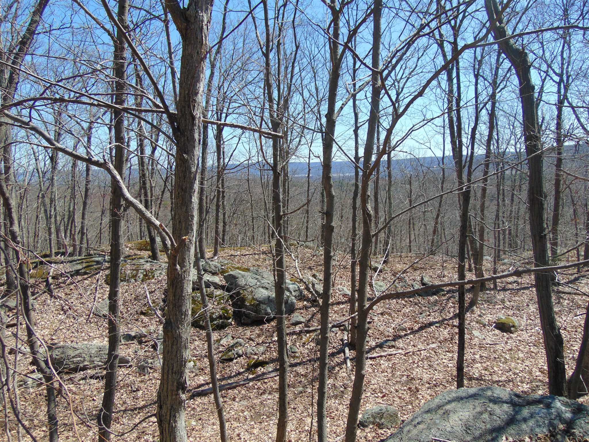 382 Cedar Hill Road Wappinger, NY 12524 - Photo 18 of 20 a view of outdoor space