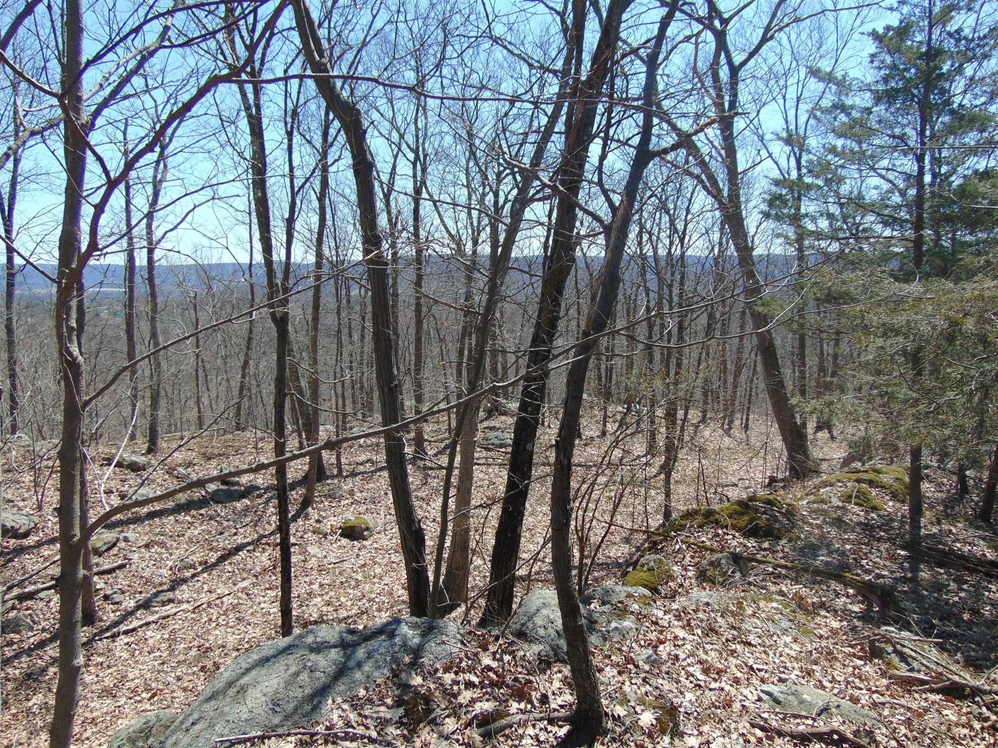 382 Cedar Hill Road Wappinger, NY 12524 - Photo 19 of 20 a backyard of a house with lots of trees