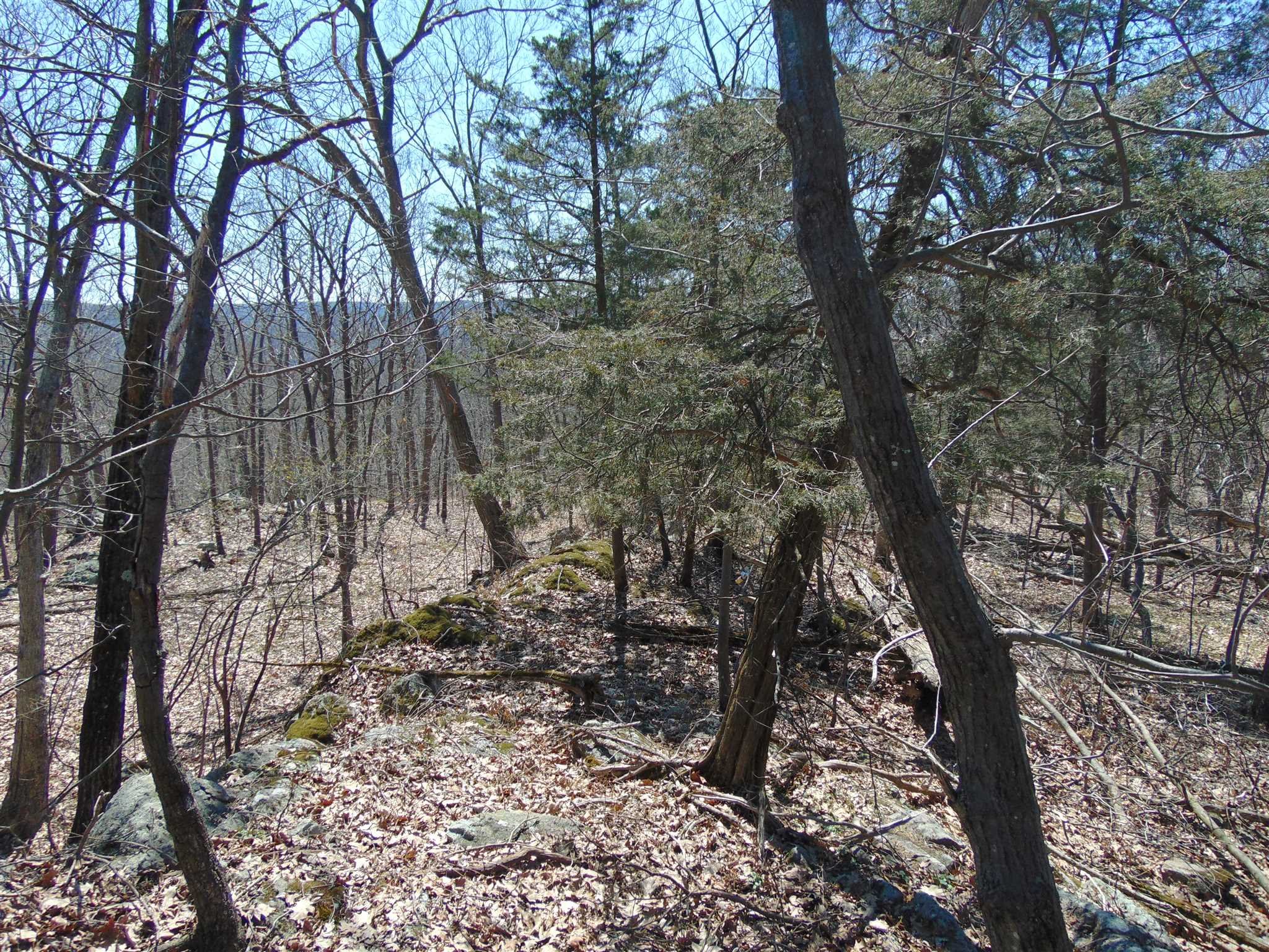 382 Cedar Hill Road Wappinger, NY 12524 - Photo 20 of 20 a view of a yard