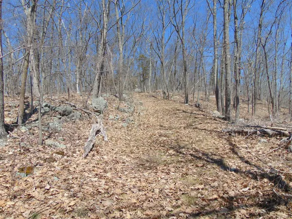 a view of wooden fence and trees