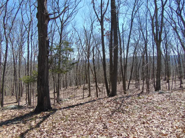 a view of outdoor space