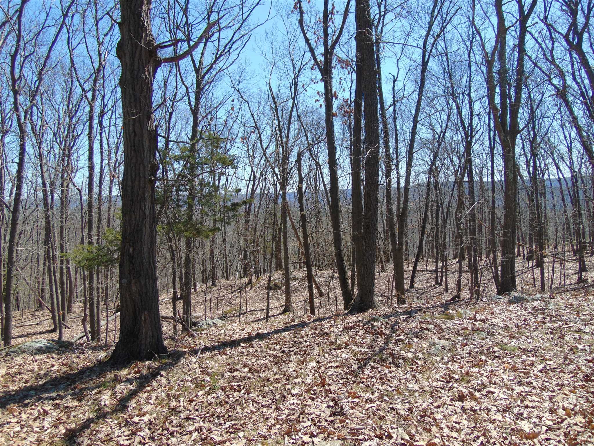 382 Cedar Hill Road Wappinger, NY 12524 - Photo 3 of 20 a view of wooden fence and trees