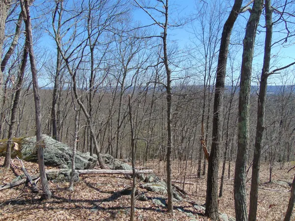 a view of a yard covered with trees