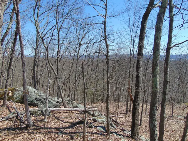 a view of a yard covered with trees