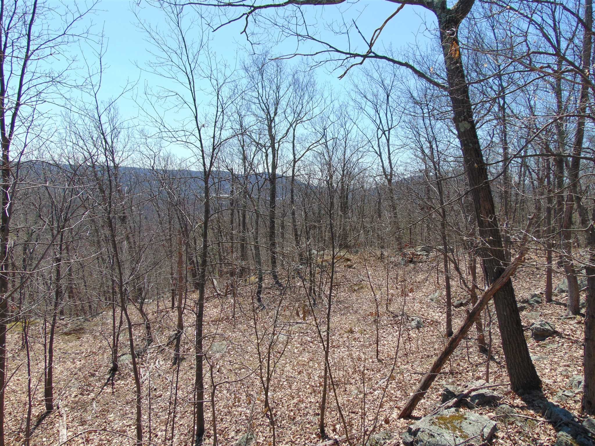 382 Cedar Hill Road Wappinger, NY 12524 - Photo 8 of 20 a backyard of a house