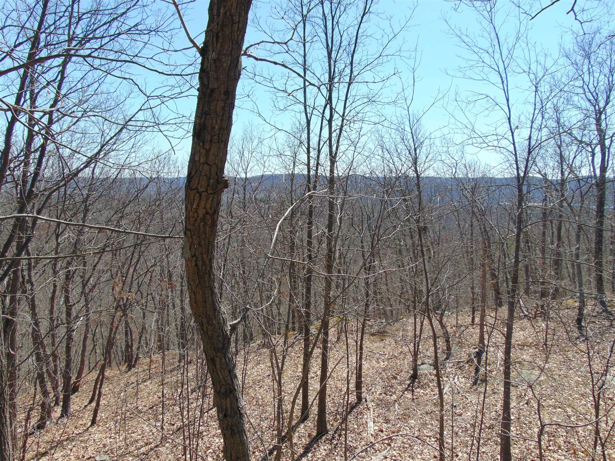 382 Cedar Hill Road Wappinger, NY 12524 - Photo 9 of 20 a view of outdoor space and a yard