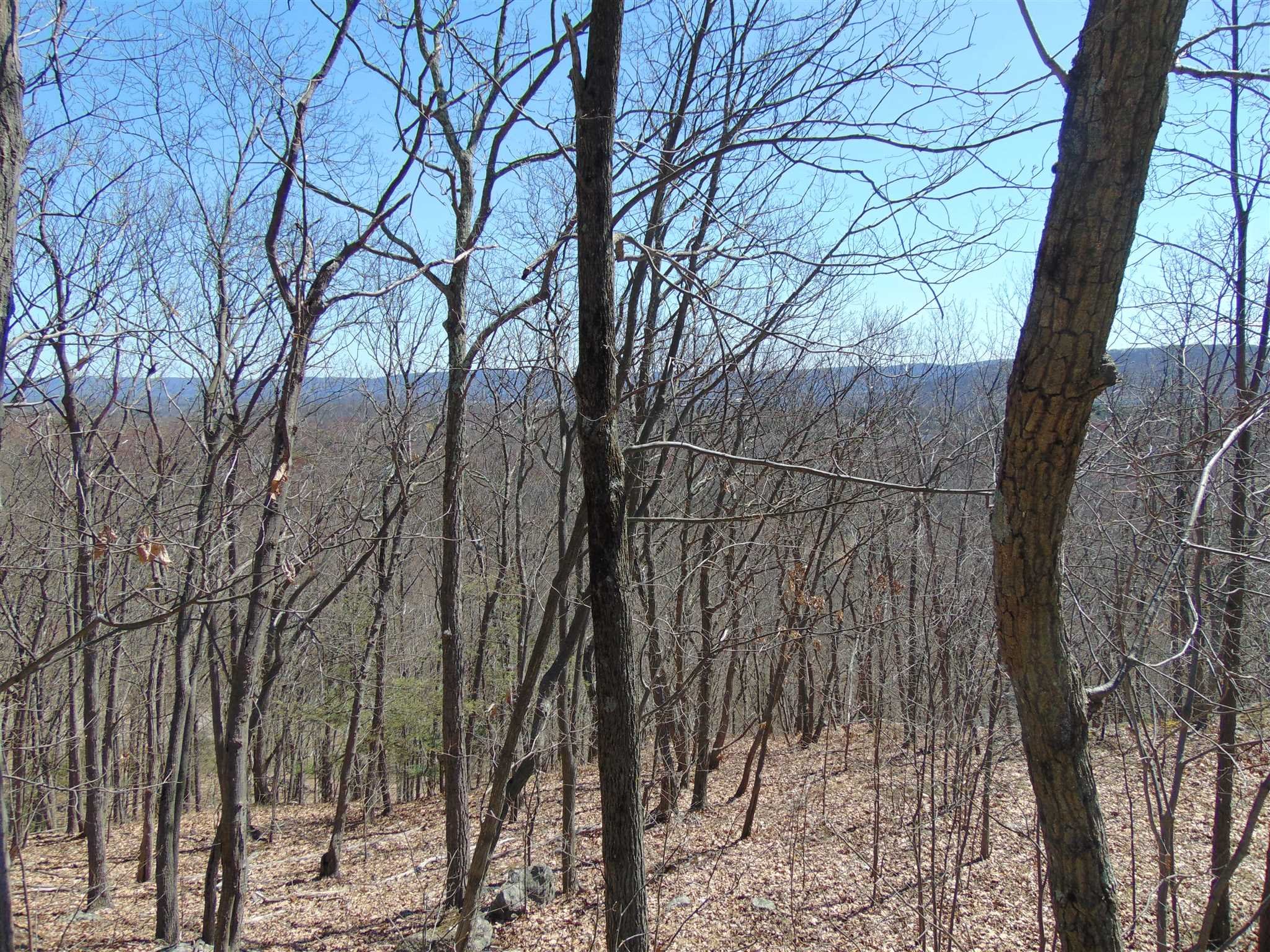 382 Cedar Hill Road Wappinger, NY 12524 - Photo 10 of 20 a backyard of a house with lots of green space