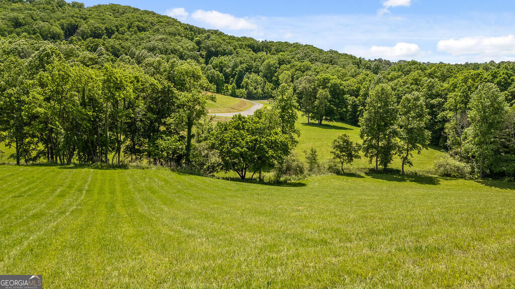 Lot 11 Squirrel Hunting Road Morganton, GA 30560 - Photo 1 of 14 Gallery Image 1