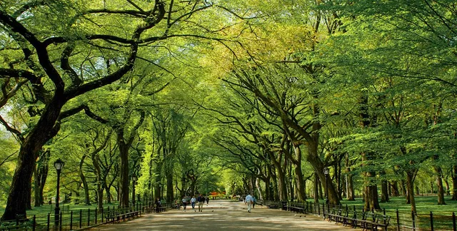 $4,725 | 211 West 56th Street, Unit C28 | Theater District