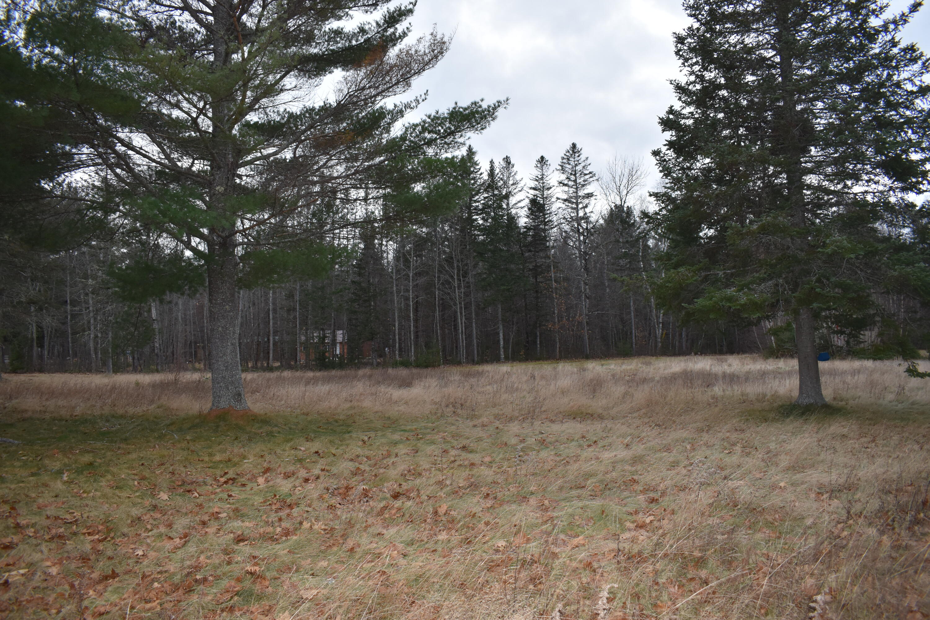 1097 North Chester Road Lincoln, ME 04457 - Photo 11 of 17 DSC_0122