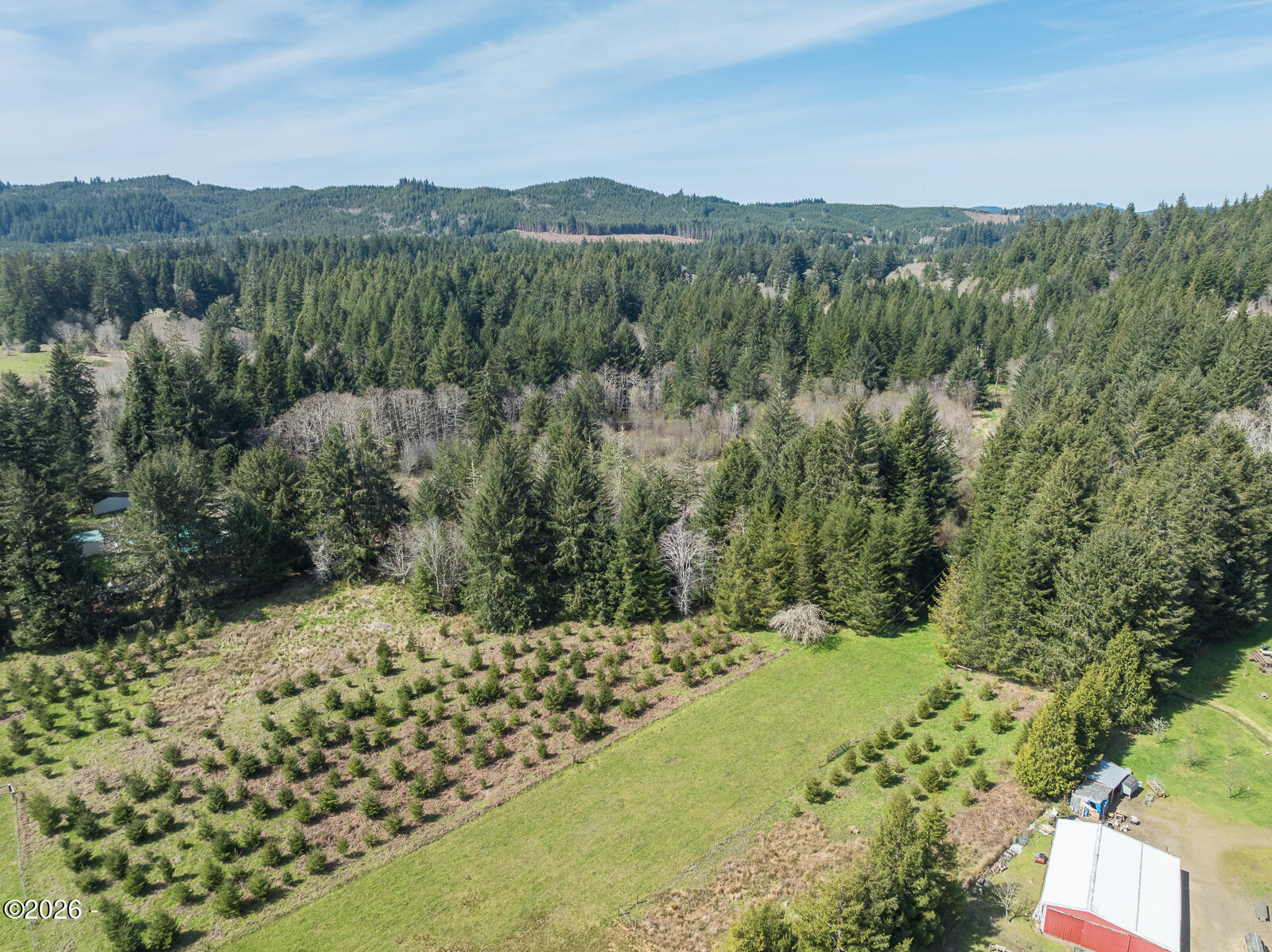 871 Old River Road Northeast Siletz, OR 97380 - Photo 81 of 86 Planted timber