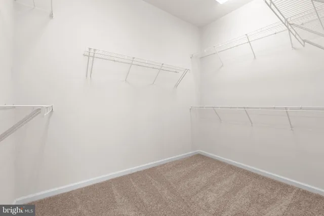 a white toilet sitting next to a shower