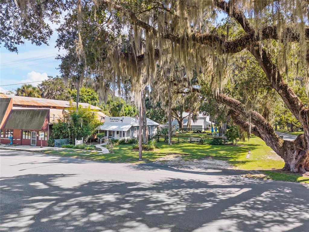 5610 Avenue G McIntosh, FL 32664 - Photo 52 of 64 a view of street with houses and trees