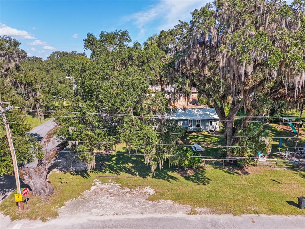 5610 Avenue G McIntosh, FL 32664 - Photo 61 of 64 a view of a yard with plants