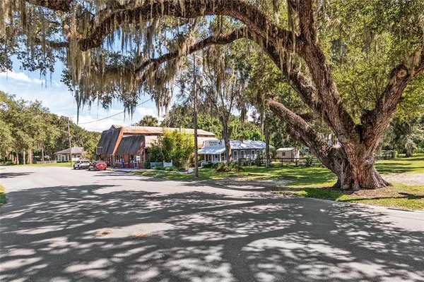 a view of a trees in front of a house