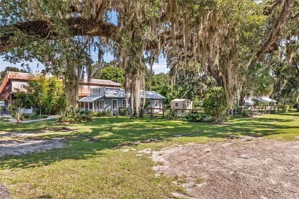 a view of a park with large trees