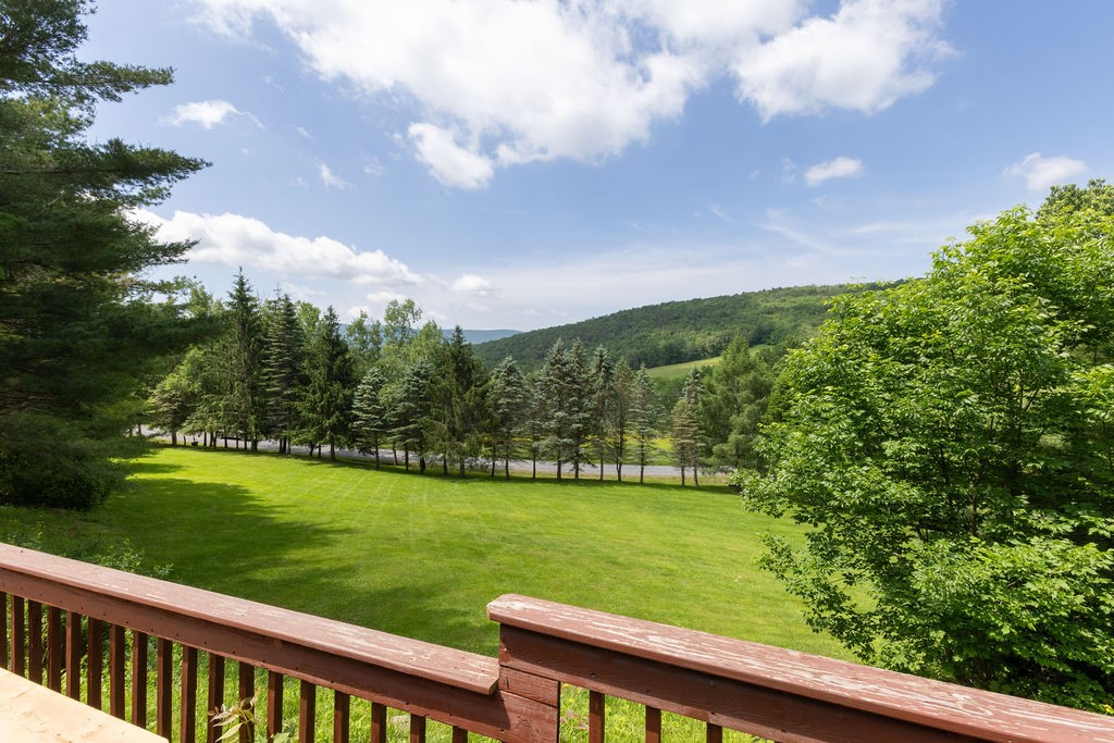 1089 Hogg Mountain Road Fleischmanns, NY 12430 - Photo 3 of 50