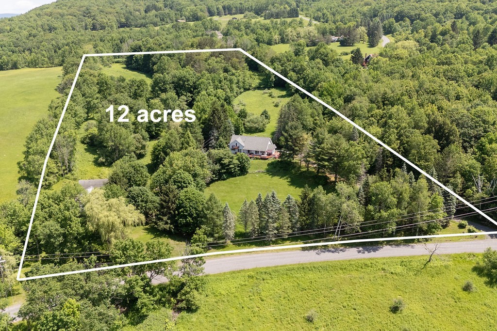 1089 Hogg Mountain Road Fleischmanns, NY 12430 - Photo 4 of 50