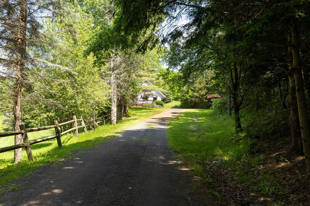 1089 Hogg Mountain Road Fleischmanns, NY 12430 - Photo 45 of 50