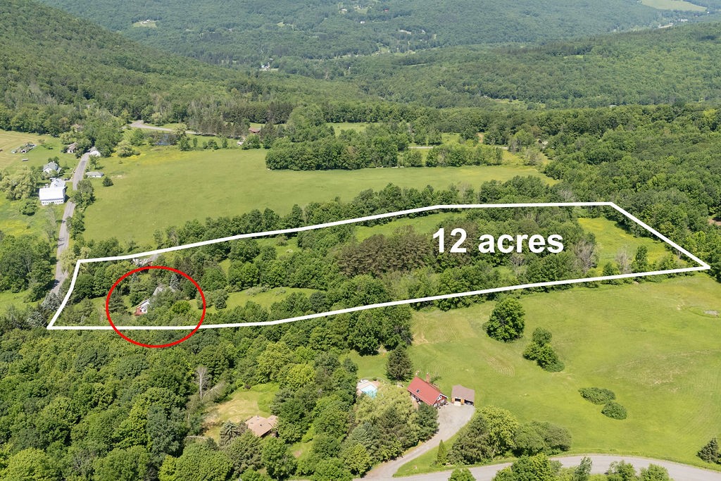 1089 Hogg Mountain Road Fleischmanns, NY 12430 - Photo 48 of 50