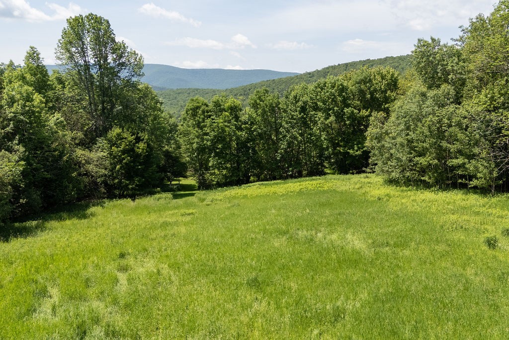 1089 Hogg Mountain Road Fleischmanns, NY 12430 - Photo 49 of 50