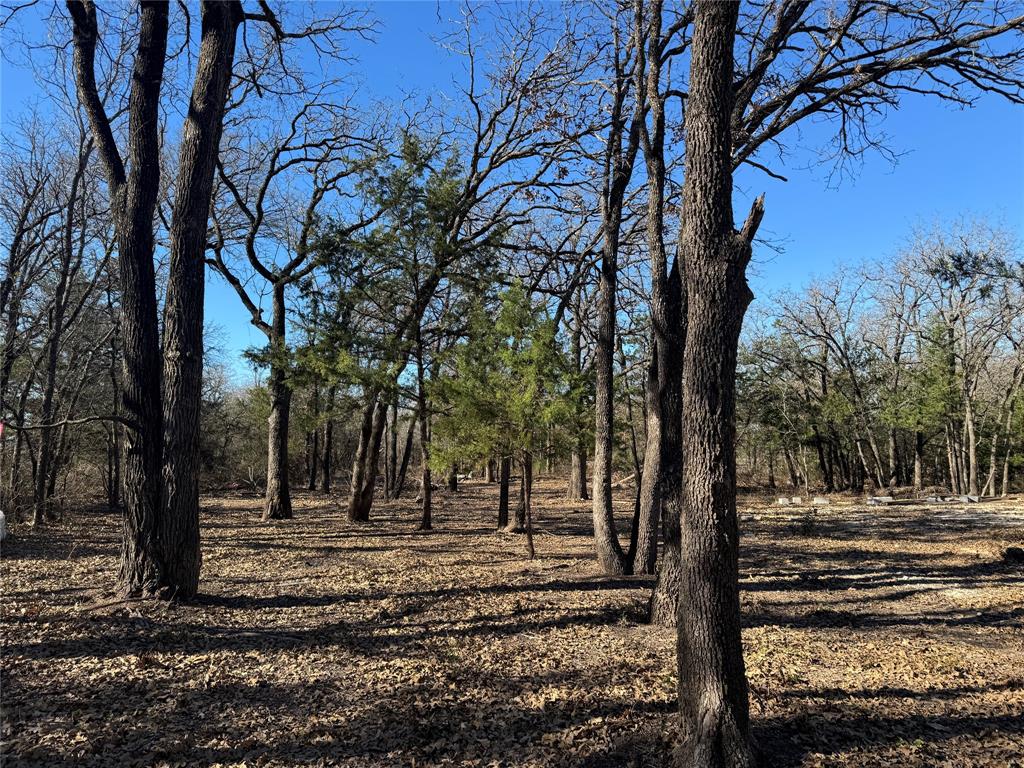 973 Wagoner Road Waco, TX 76705 - Photo 5 of 14 a view of backyard with green space