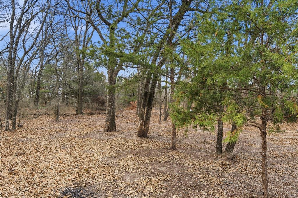 973 Wagoner Road Waco, TX 76705 - Photo 6 of 14 a backyard of a house with lots of green space