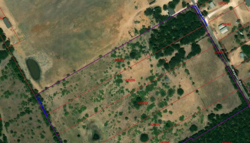 973 Wagoner Road Waco, TX 76705 - Photo 8 of 14 a view of a plant with a plant