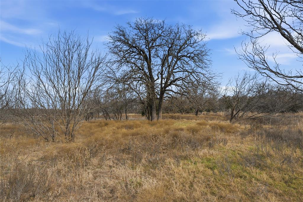 973 Wagoner Road Waco, TX 76705 - Photo 10 of 14 a view of yard with trees