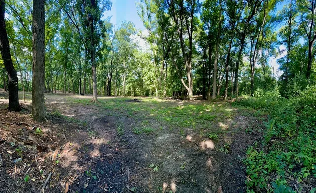 a big yard with lots of green space and deers