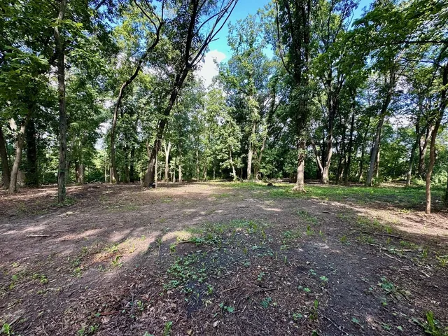a view of outdoor space with trees