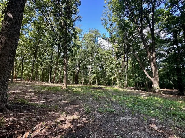 a big yard with lots of green space and deers
