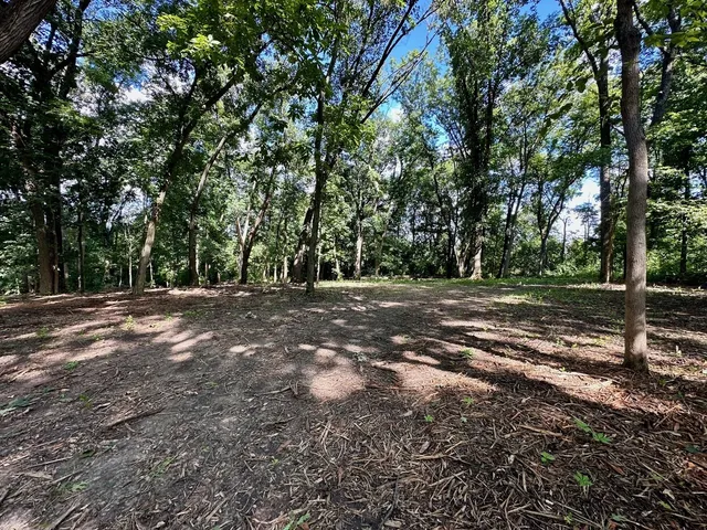 a view of outdoor space with trees