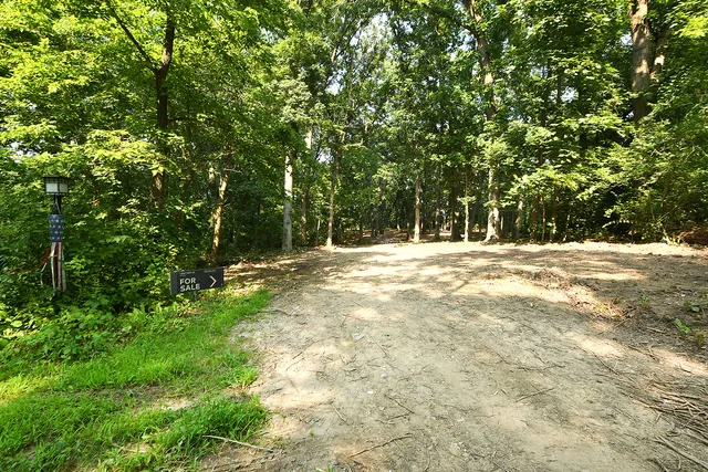 a view of outdoor space with trees all around