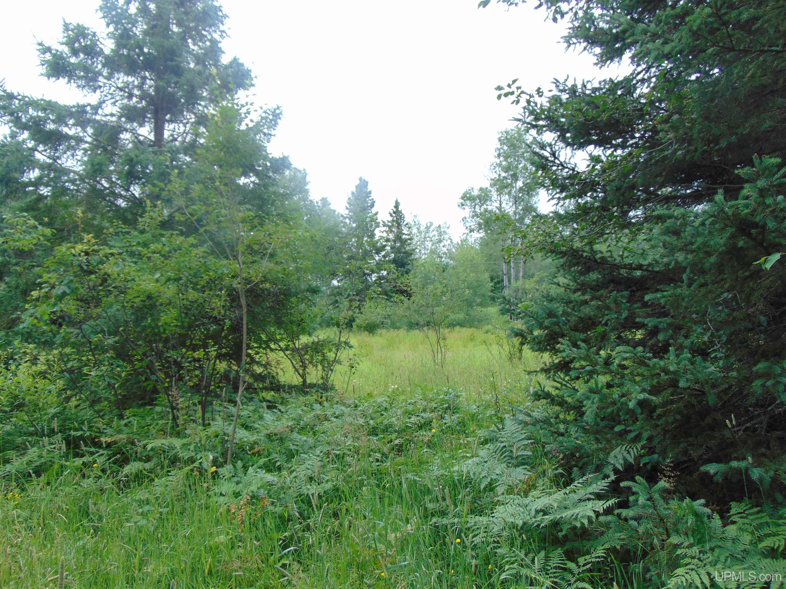 15 Grenlund Road Bruce Crossing, MI 49912 - Photo 17 of 18