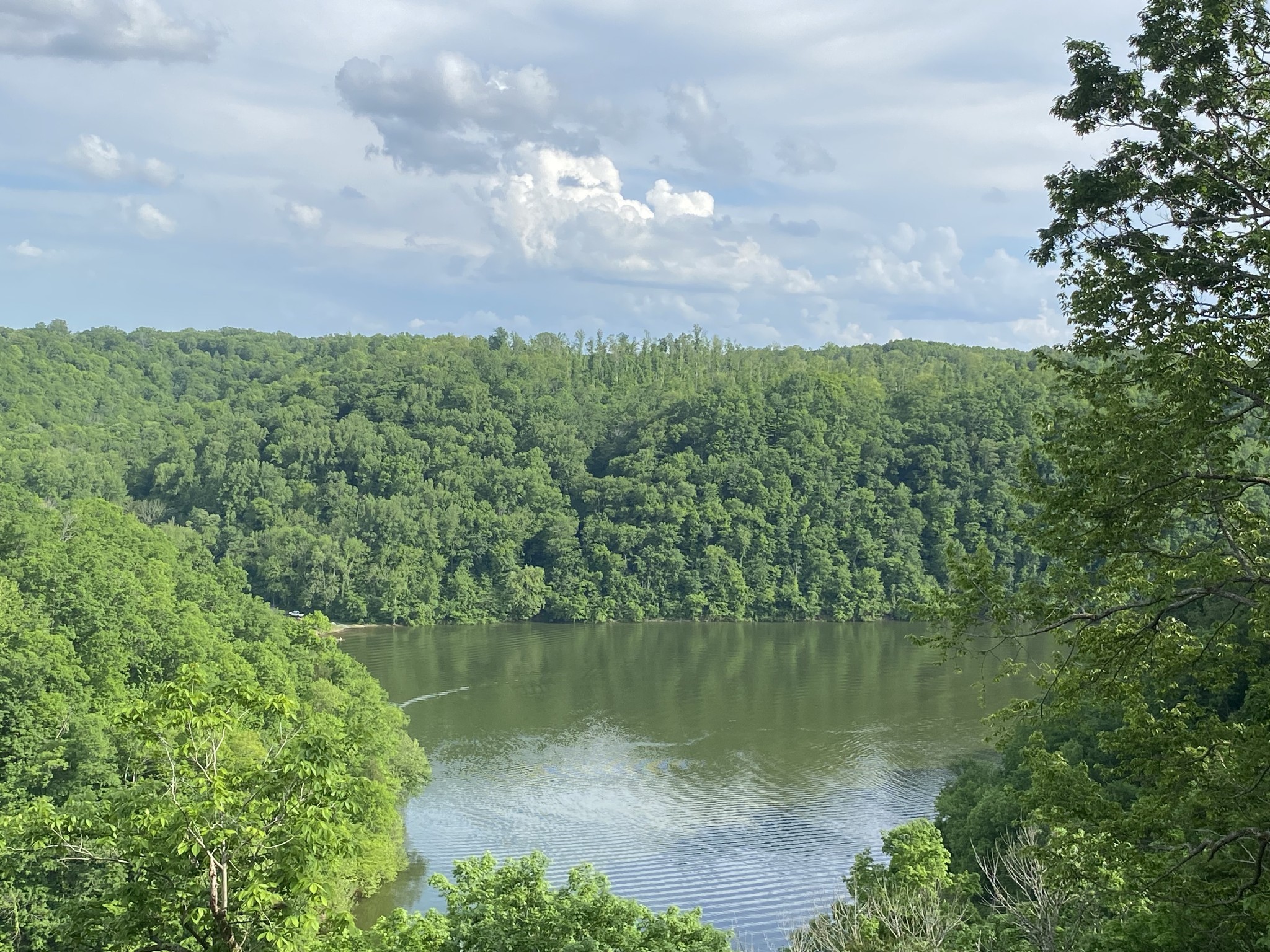 a view of a lake from a yard