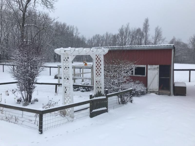 11749 Sprague Road Delton, MI 49046 - Photo 27 of 31 48930