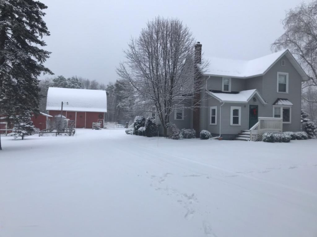 11749 Sprague Road Delton, MI 49046 - Photo 30 of 31 48941