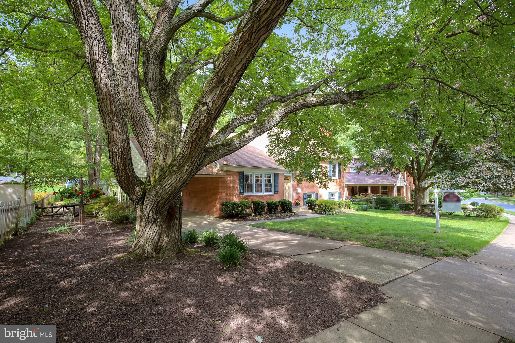 8844 Stark Road Annandale, VA 22003 - Photo 50 of 57 The owners said they will miss this lovely tree!